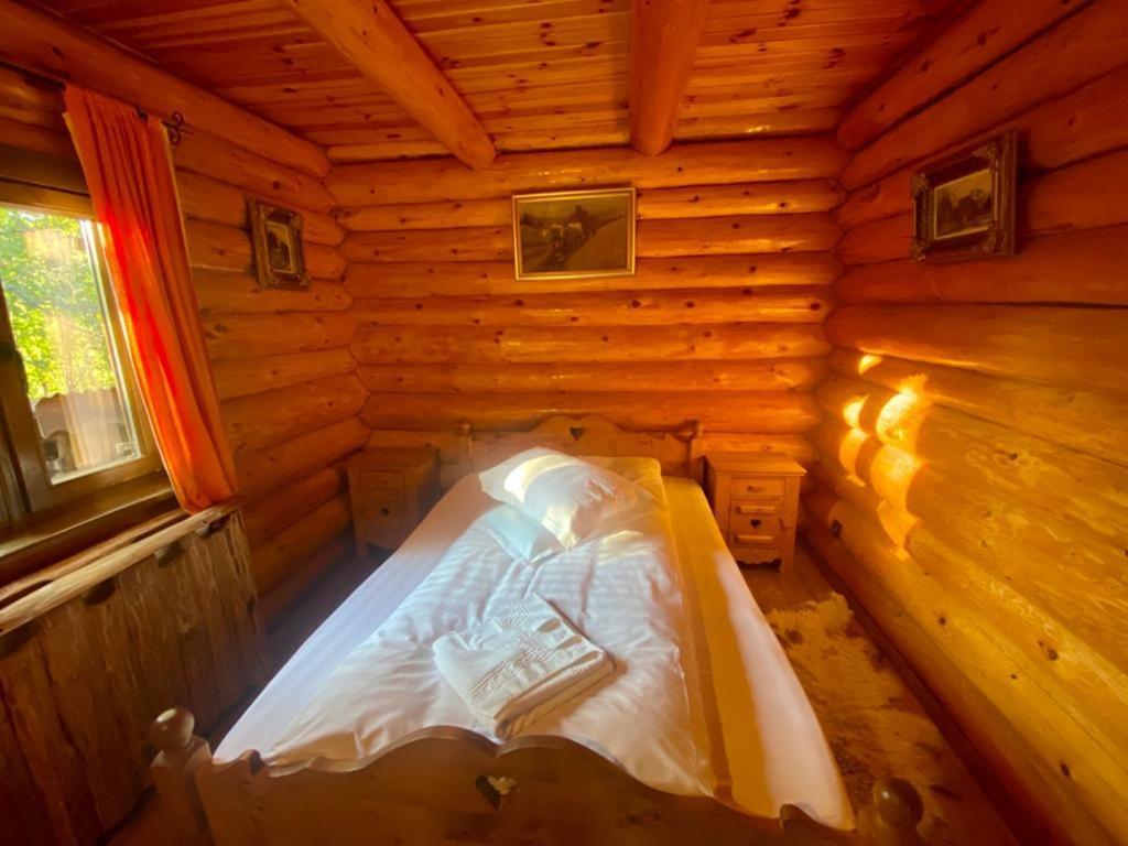 Cabana Vanatorului Rîşnov Exterior foto