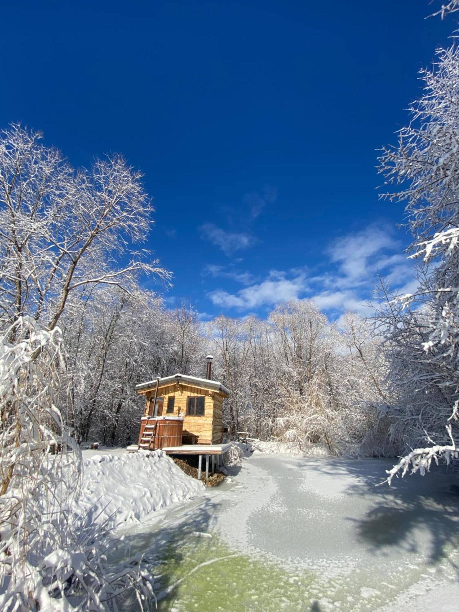 Cabana Vanatorului Rîşnov Exterior foto